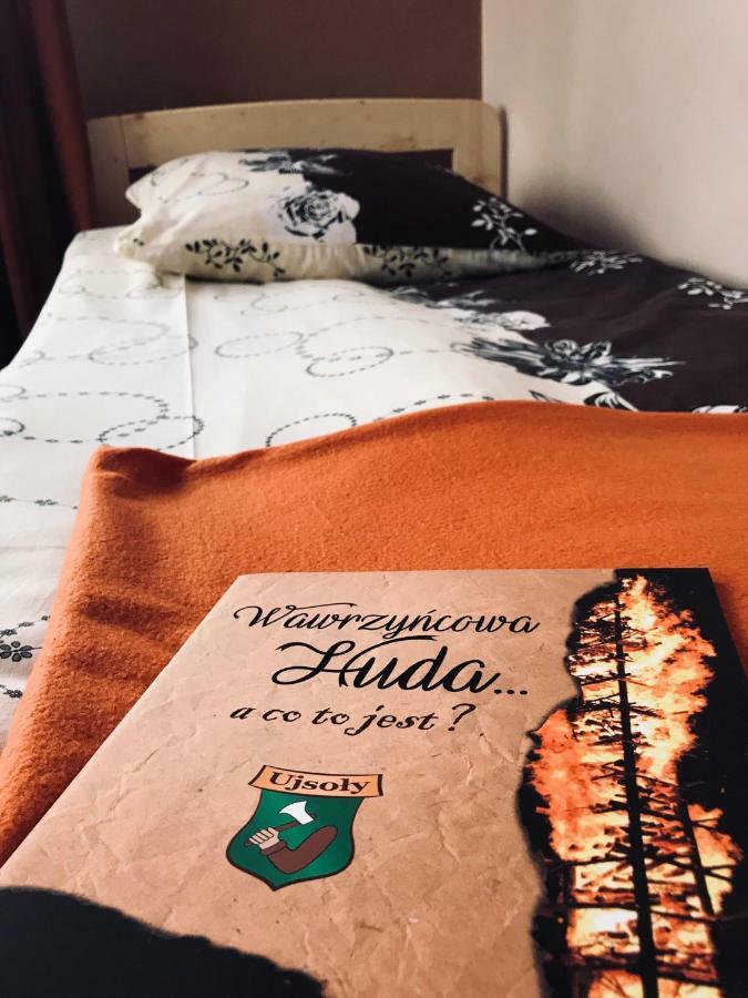 Pokoje Goscinne Ujsoły エクステリア 写真